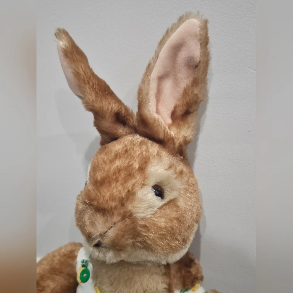 Build a Bear Peter Rabbit - Picture 5 of 6